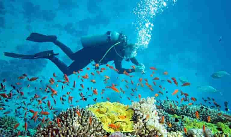 Scuba Diving
