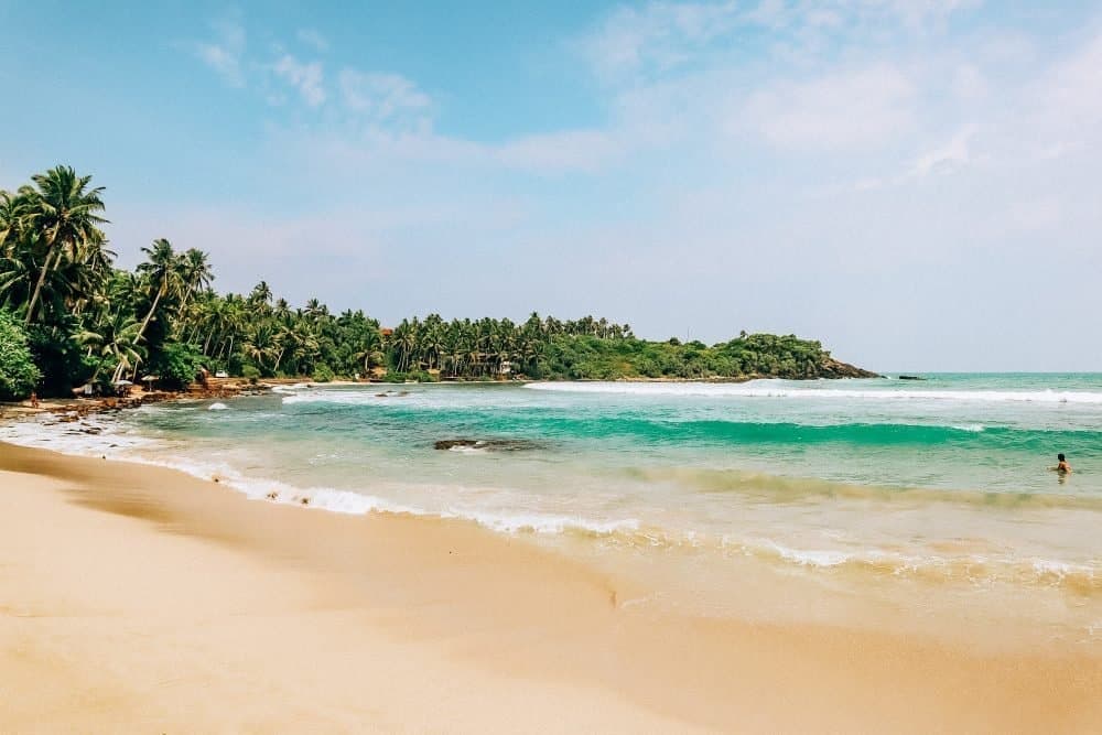 Beach & Wildlife
