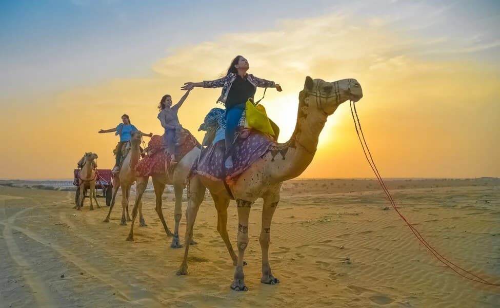 Camel Safari