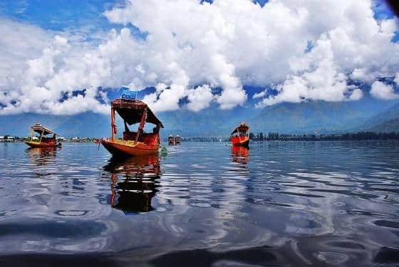 Kashmir Super Saver