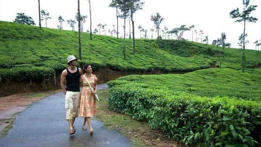 Ooty