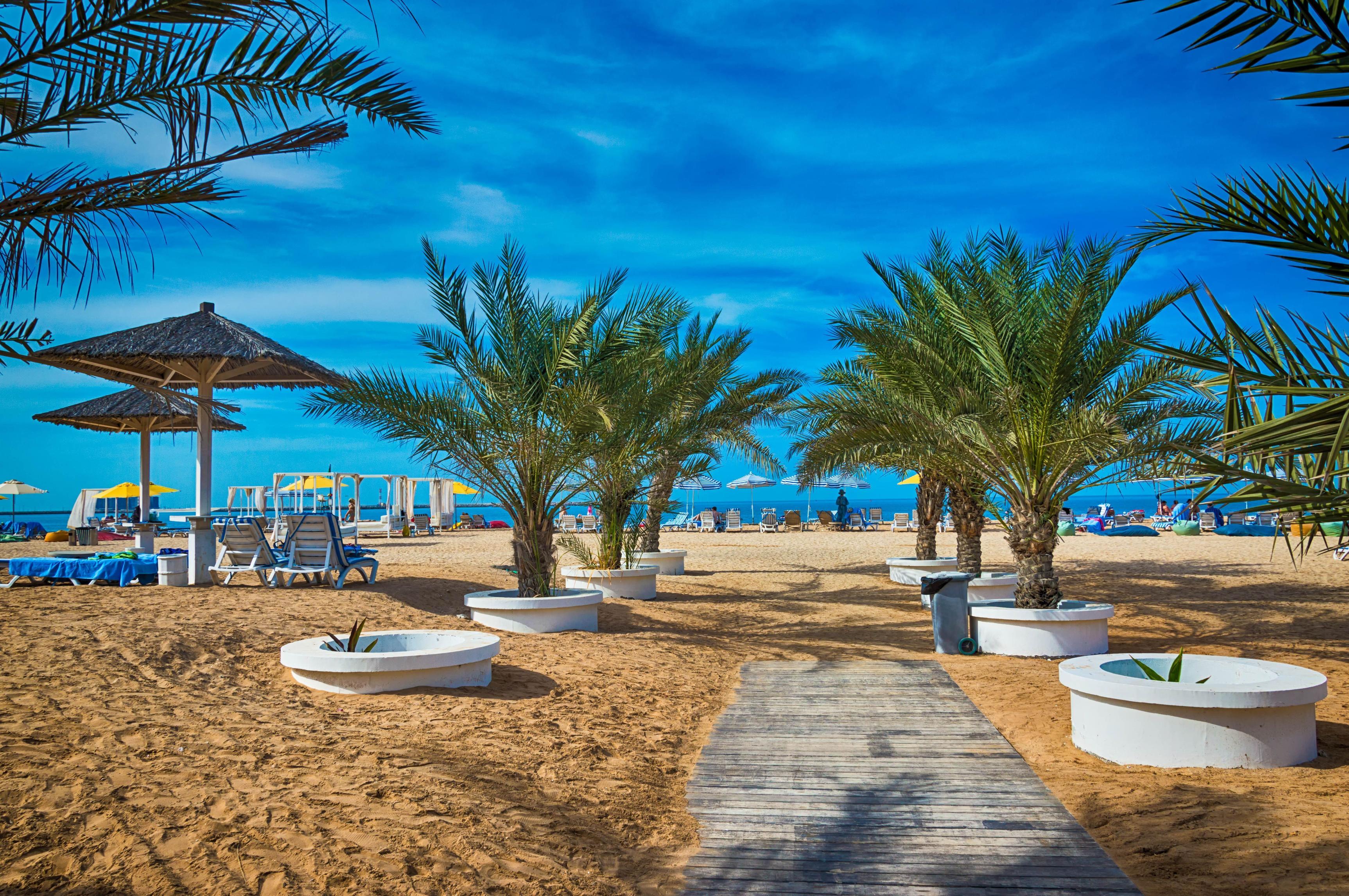 Palm Trees and Sea at RAK Beaches
