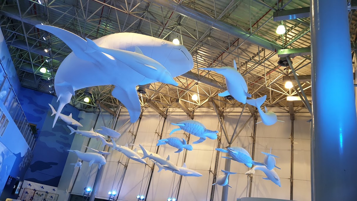 Sharjah Aquarium