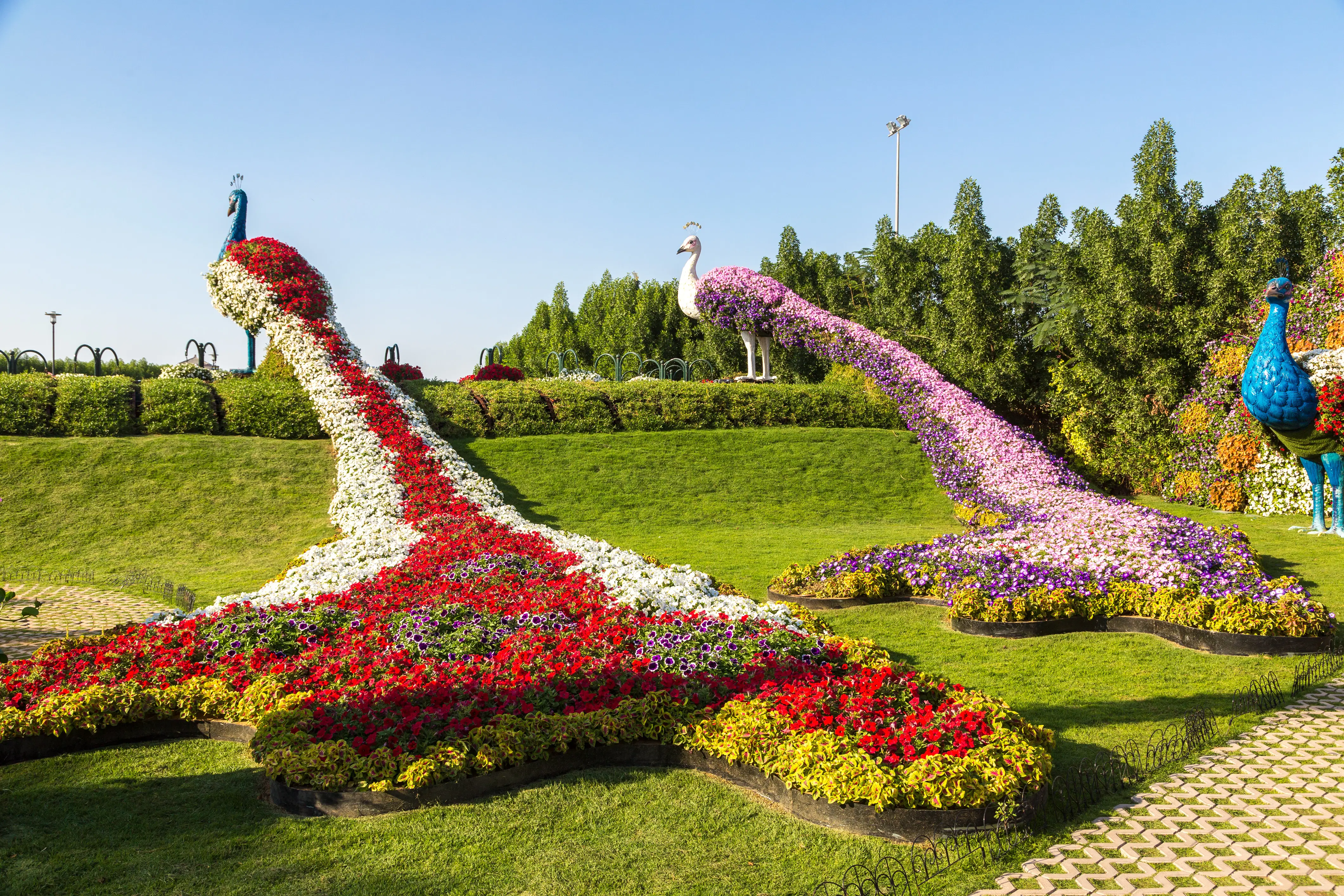 Sharjah Desert Park