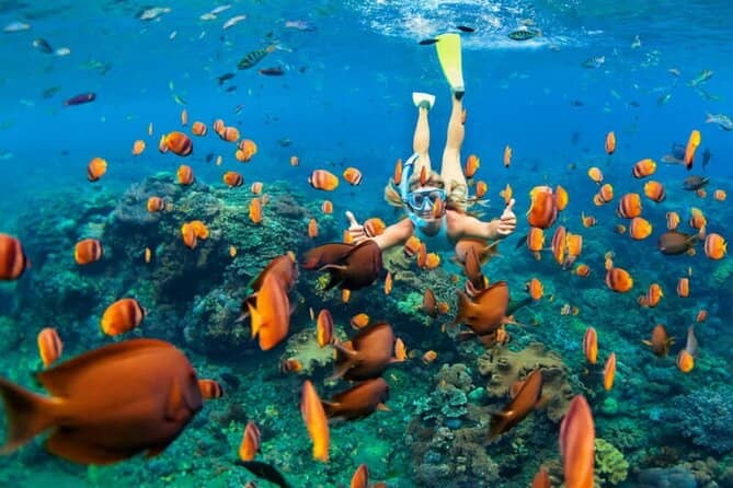 Snorkeling at Snoopy Island Fujairah