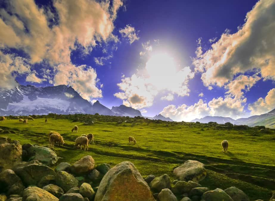 Sonmarg Hot Deal Kashmir