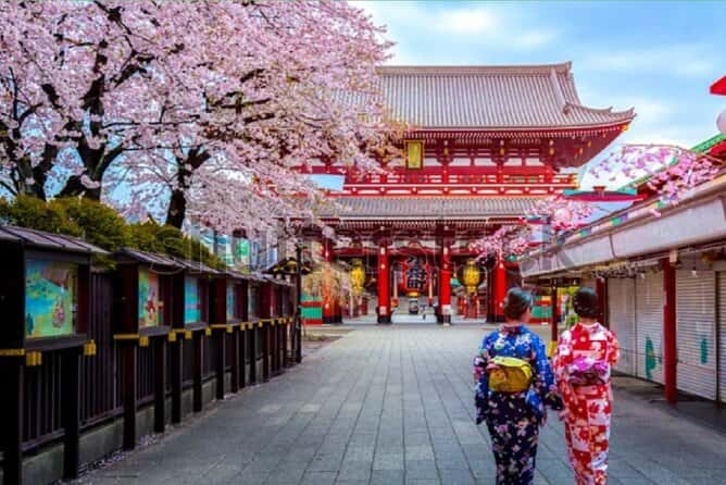 Tokyo Tour