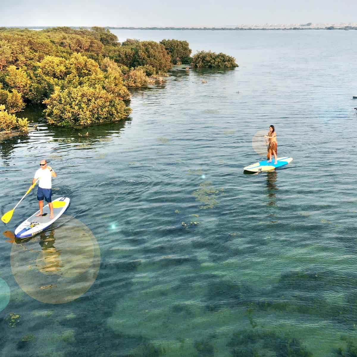 Mangrove Kayaking UAQ