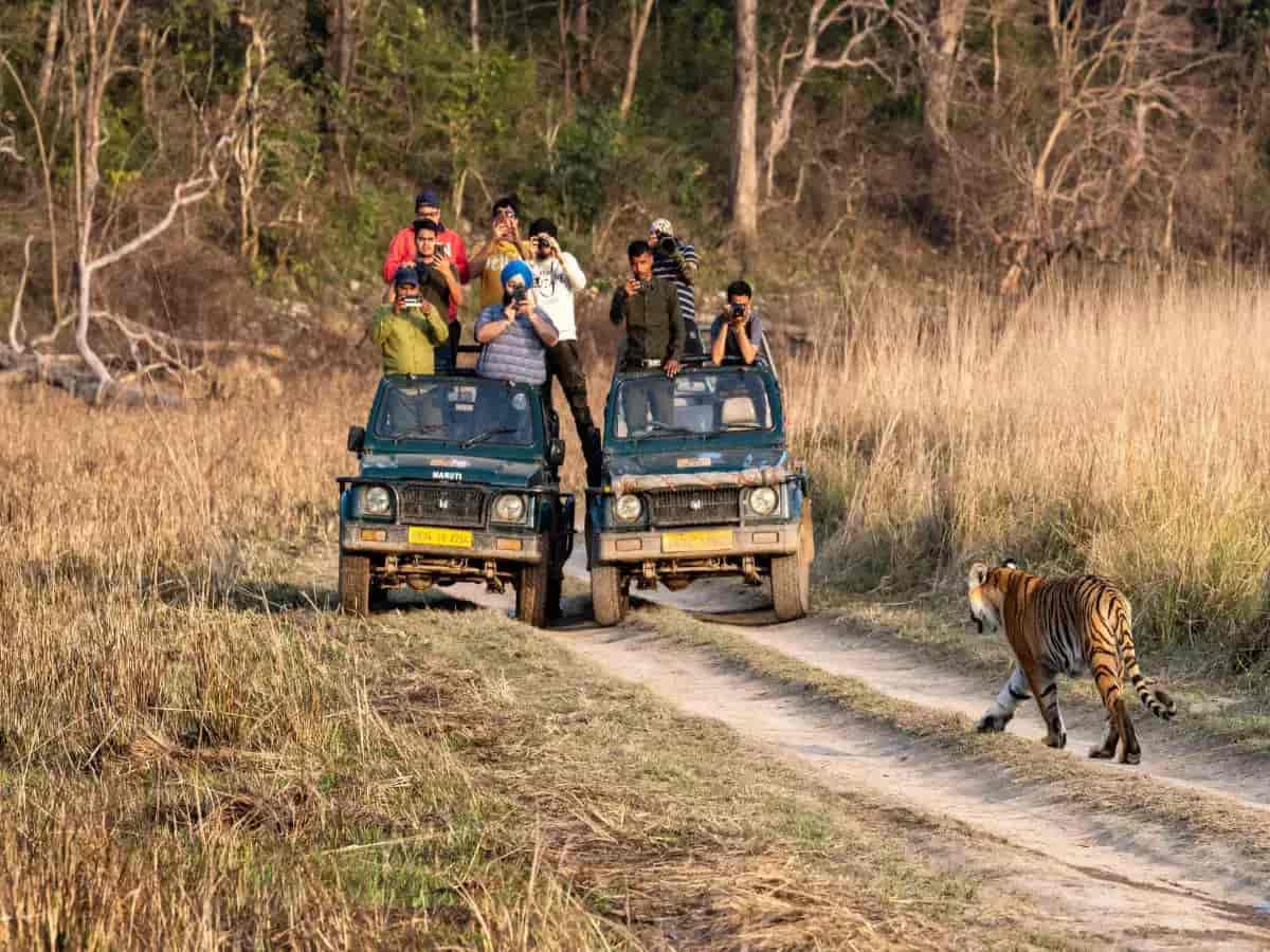 Jim Corbett National Park